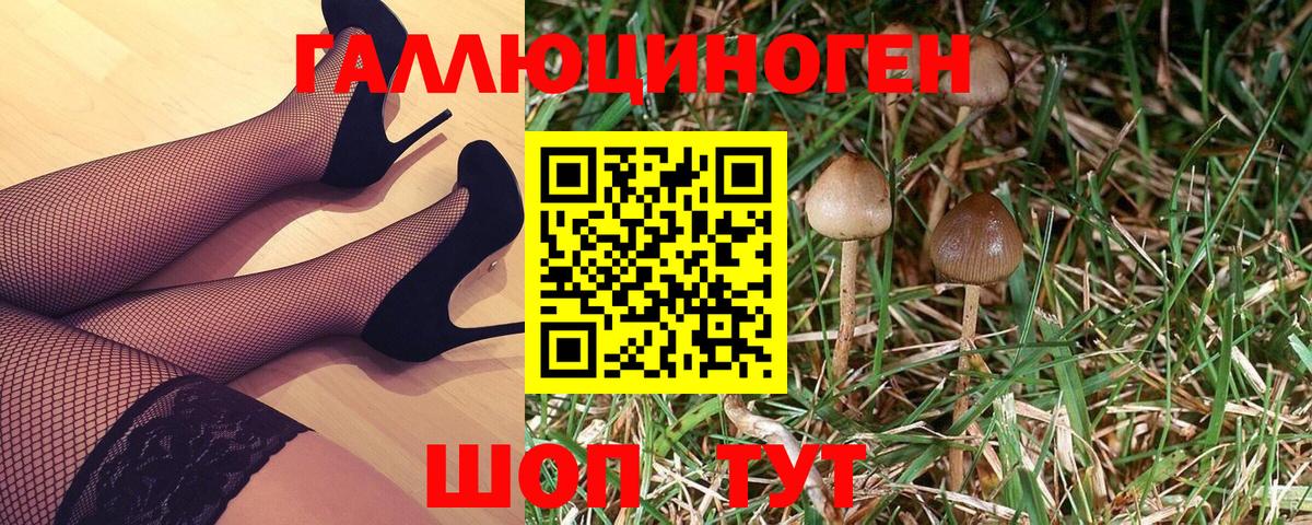 Галлюциногенные грибы MAGIC MUSHROOMS  как найти закладки  Сургут  Вход с VPN 